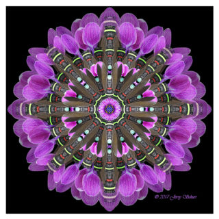 Cicada Dressed In Lilac Etude