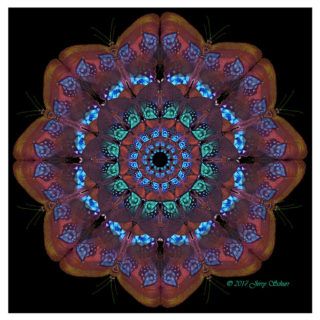 The Magic Choreography of Butterflies
